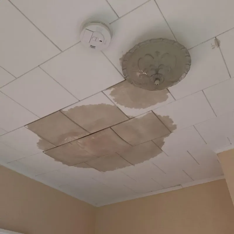 Ceiling Water Damage Repair in Marshall County, IA