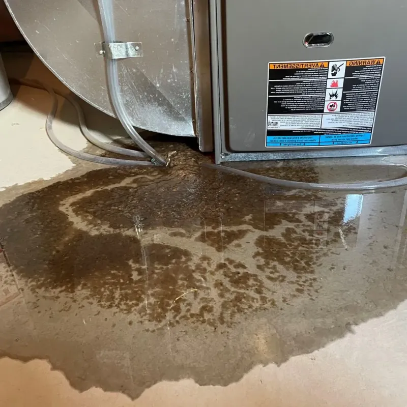 Pipe Burst and Leak Restoration in Marshall County, IA