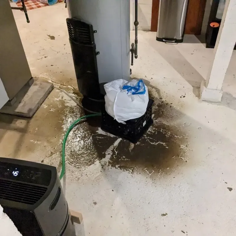 Sewage Backup Cleanup Service in Marshall County, IA